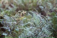 Роман Нутерман фотография #24 (источник - https://vk.com/id766871)