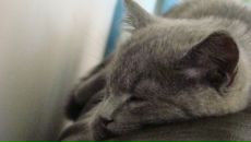 Лєнчік Гаврилюк фотография #14 (источник - https://vk.com/id33693518)