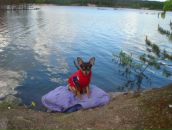 Фотография Чиликина Олеся