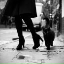 Фотография Odintsova Evgenia