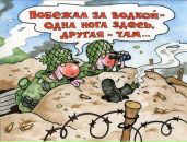 Фотография Валанчуса Николая