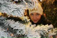 Фотография Московской Ежевики