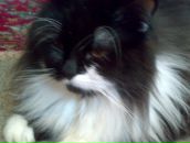 Алінка Дашкевич фотография #14 (источник - https://vk.com/id19480351)