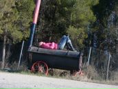 Фотография Болдовский Григорий