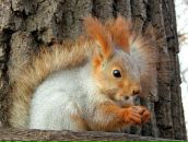 Фотография Пучковой Ксении