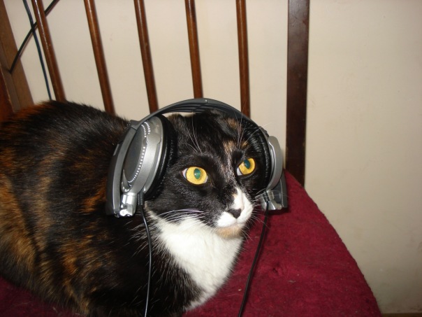 Вл@димр Л(0)гинов фото №1