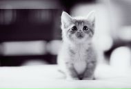 Марічка Дідик фотография #8 (источник - https://vk.com/id10896917)