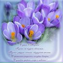 Фотография Федотовой Татьяны