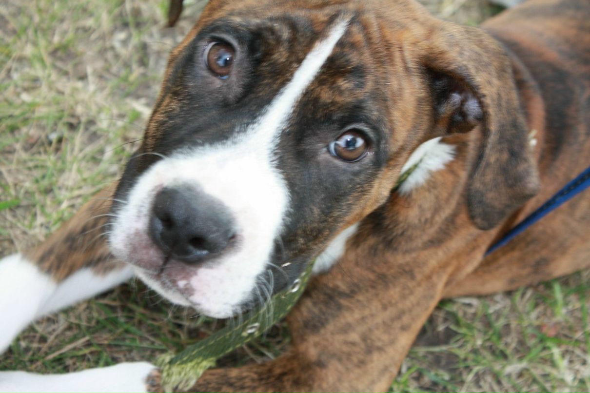 Кирилл Митяев фотография #25