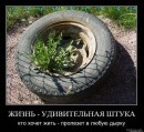 Назар Долинський фотография #16 (источник - https://vk.com/id65599477)