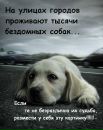 Фотография Богдановой Елены