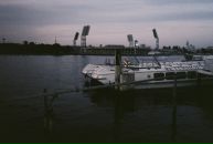 Bug Report фотография #24 (источник - https://vk.com/id2490637)