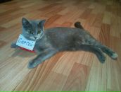 Фотография Маслова Сергея