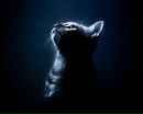 Фотография Котловской Татьяны