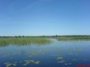 Ігор Томашевський фотография #27 (источник - https://vk.com/id121328566)