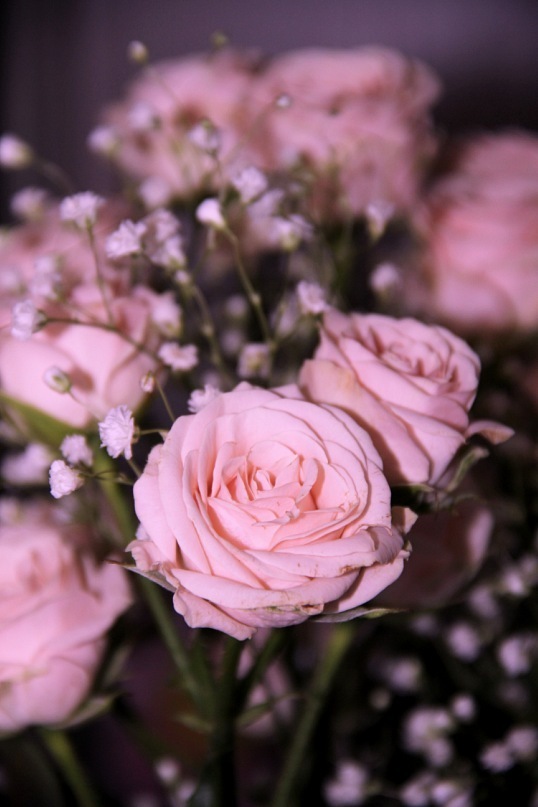 Лена Оч@ров@шк@ фотография #16