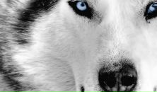 Фотография Будулаевны Екатерины