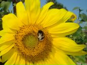 Фотография Васильевны Ольги