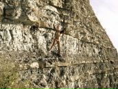 Фотография Осиповой Ксении