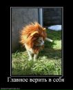 Ігор Данилюк фотография #31 (источник - https://vk.com/id27521030)