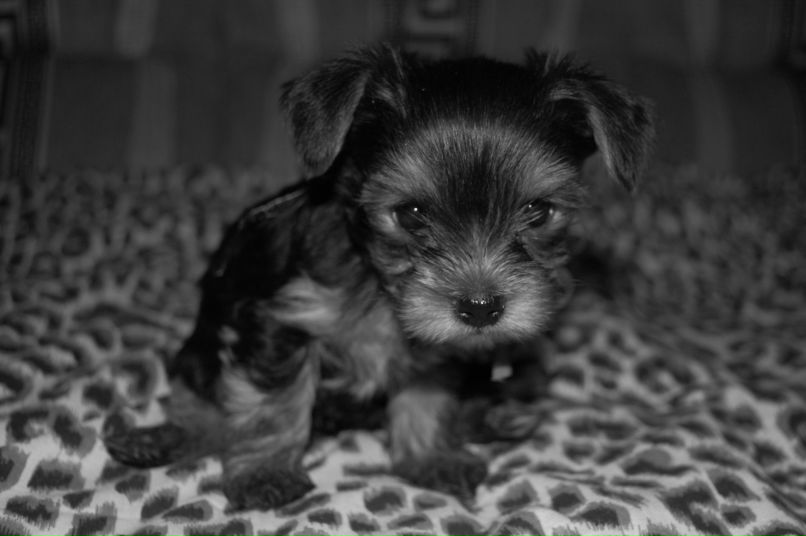 Натали Слепченко фотография #48