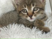 Валерій Матіїшин фотография #23 (источник - https://vk.com/id13193276)