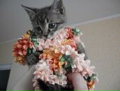 Валерій Матіїшин фотография #17 (источник - https://vk.com/id13193276)