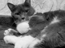 Фотография Даниловой Яны