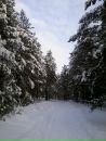 Дмитрий Шаров фотография #17 (источник - https://vk.com/id3186760)