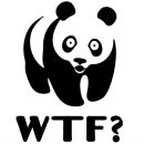 Фотография Markova Varya