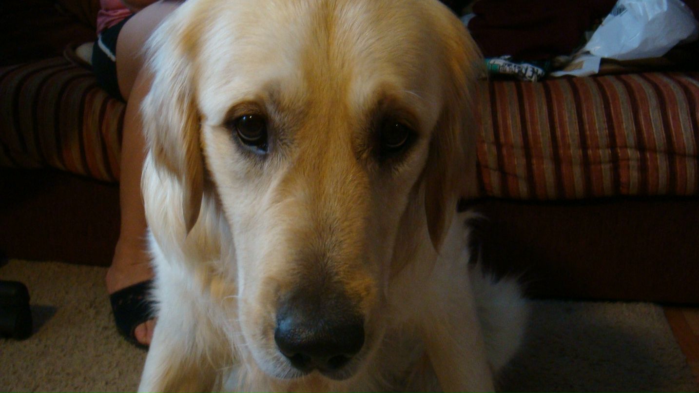 Rodger Brown фотография #29