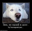 Дмитрий Праслов фотография #1