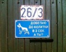 Ірина Куян фотография #20 (источник - https://vk.com/id41514399)