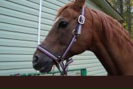 Фотография Горбаневой Анастасии