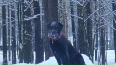 Фотография Семиной Лидии