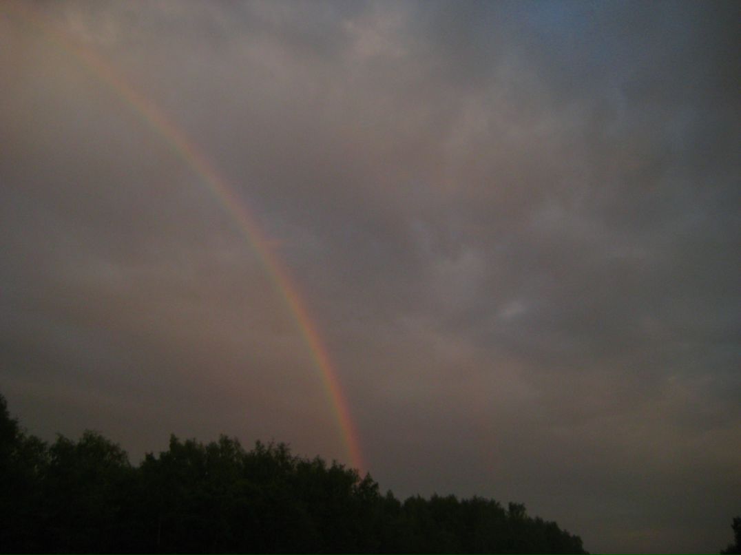 Дмитрий Линьков фотография #14