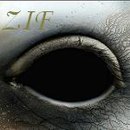 Фотография Ромакина Якова