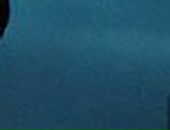 Саня Мегіс фотография #12 (источник - https://vk.com/id29525637)