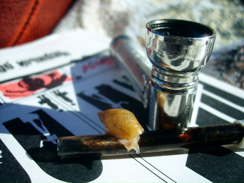 Track Four фотография #22