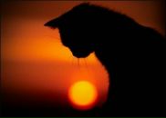 Фотография Яковлевой Яны