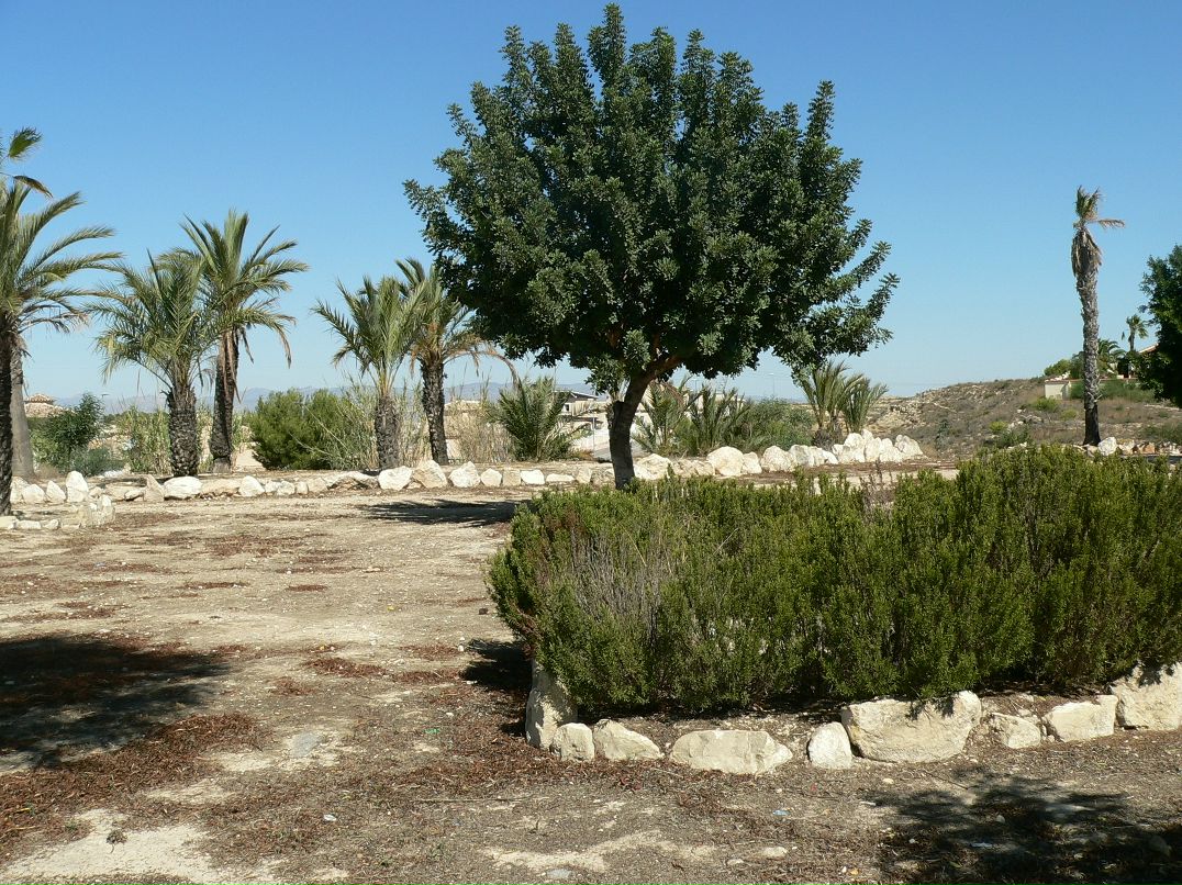 Сергей Маслов фотография #25