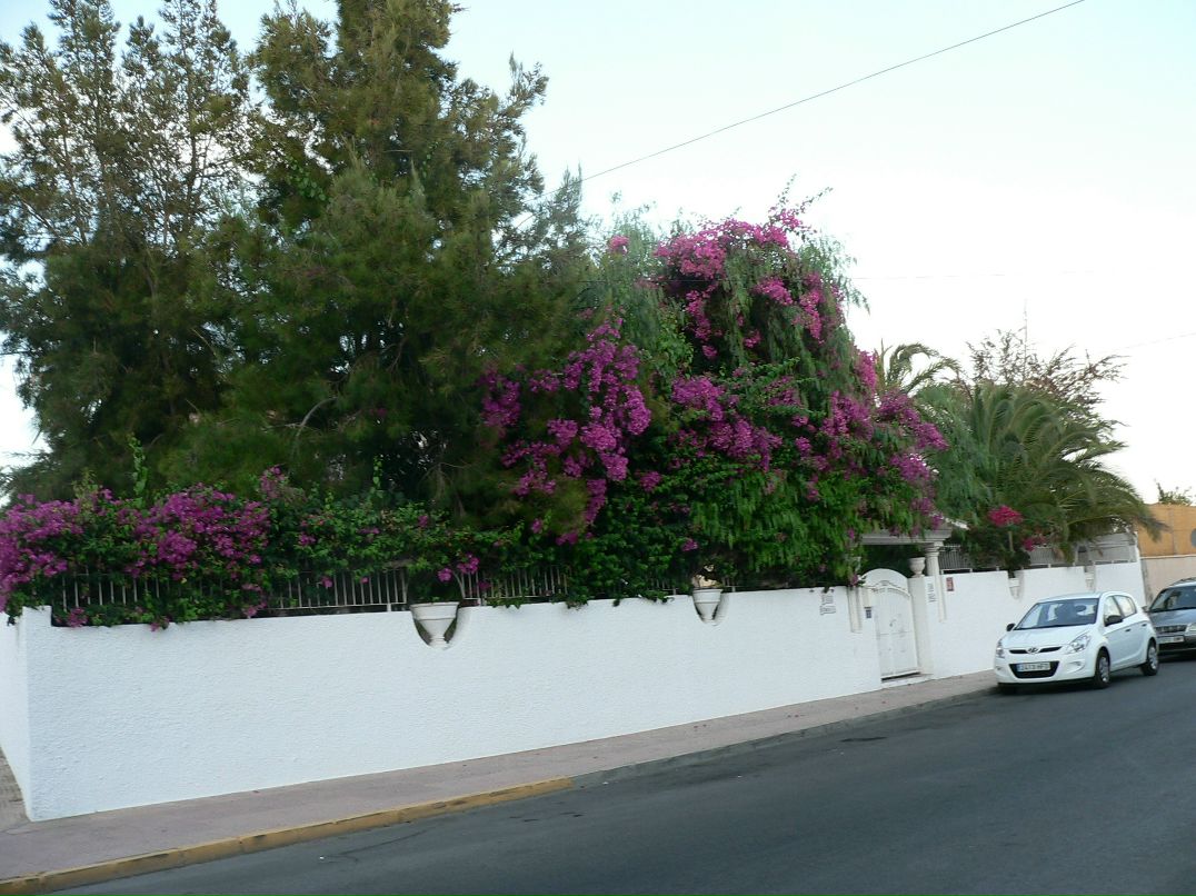 Сергей Маслов фотография #49