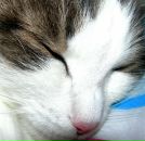 Фотография Бажитовой Анюты