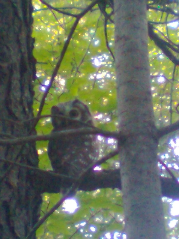 Иван Федоров фотография #2