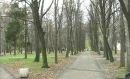 Андрій Кілас фотография #17 (источник - https://vk.com/id150377381)