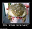 Фотография Кузнецовой Евгении