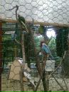 Іван Скальський фотография #36 (источник - https://vk.com/id71581586)