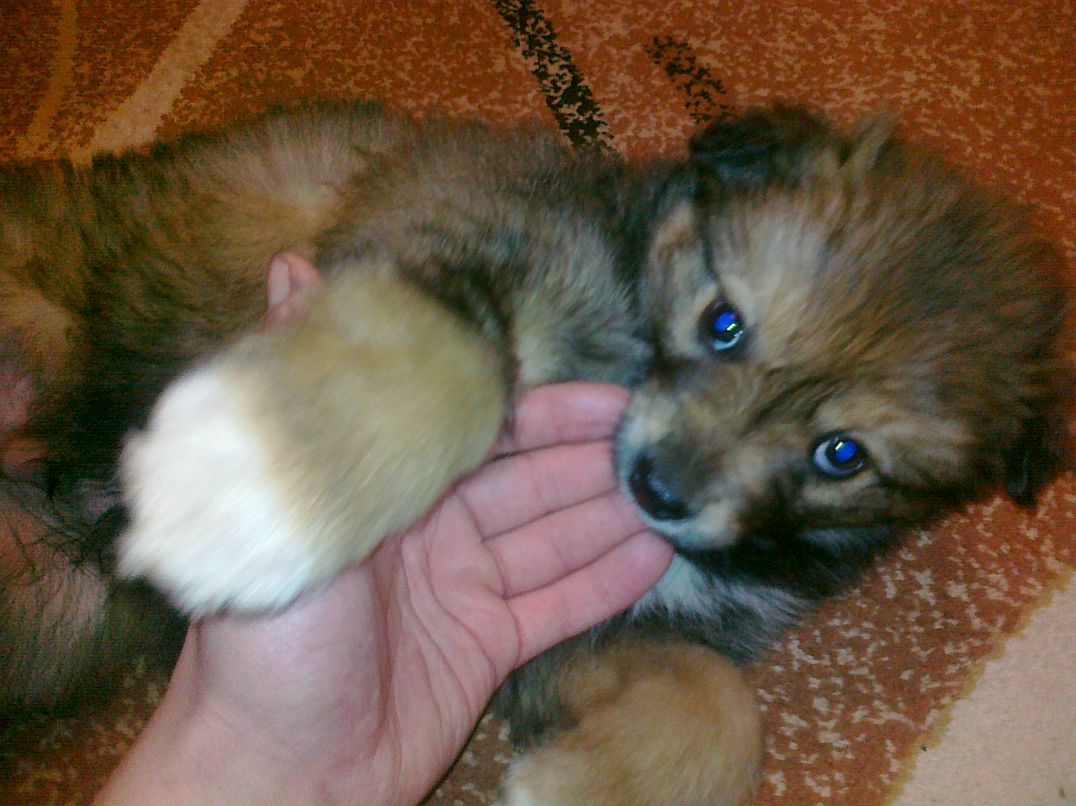 Slavon Neadekvatnux фотография #29