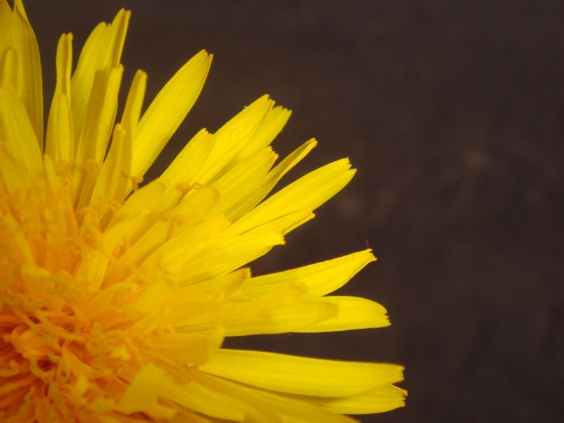 Дмитрий Иванов фотография #3