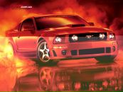 Віталік Базелевський фотография #21 (источник - https://vk.com/id163882103)